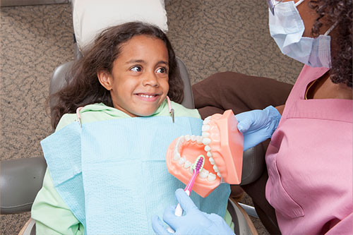 Salo Dental Exam Plymouth